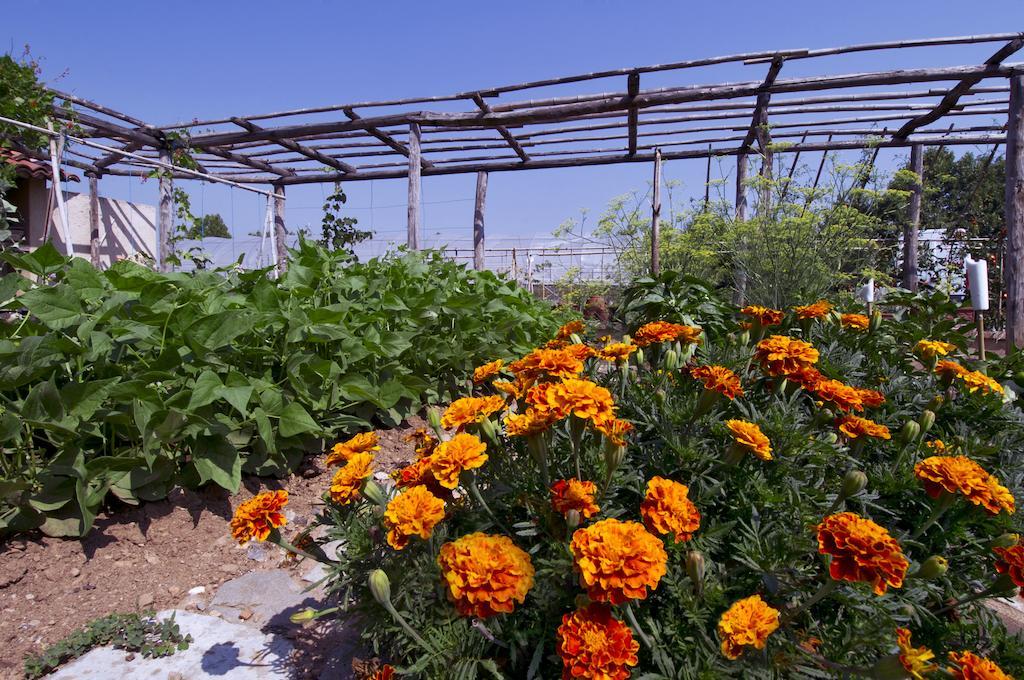 קיארי Corte Breda, Agriturismo Bed&Breakfast מראה חיצוני תמונה