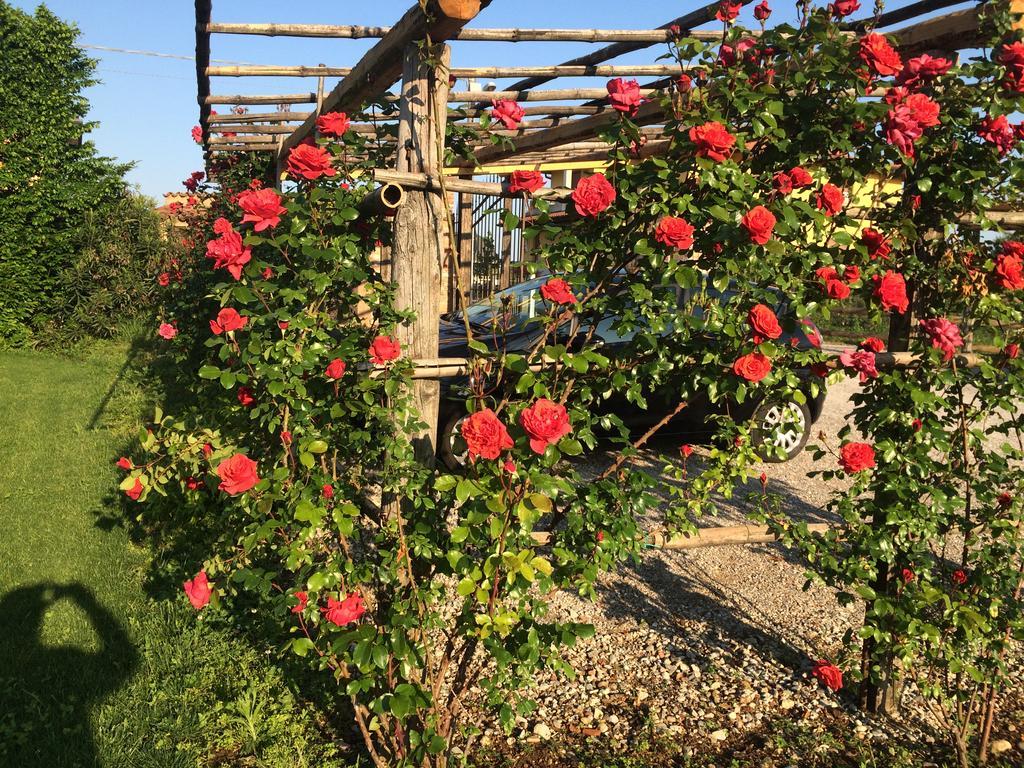 קיארי Corte Breda, Agriturismo Bed&Breakfast מראה חיצוני תמונה